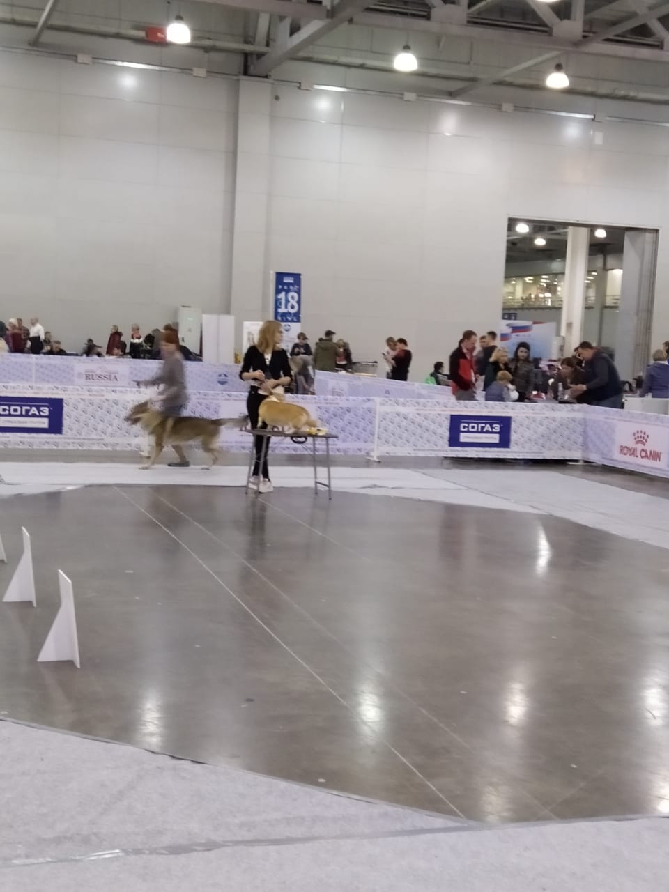 Международная выставка Россия 2019